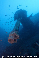 AA gun at the stern of the Thistlegorm. Shot using a Cano... by Joao Pedro Tojal Loia Soares Silva 